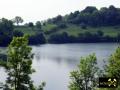 Weinfelder Maar (Toten Maar) bei Daun in der Vulkaneifel, Rheinland-Pfalz, (D) (8) 01. Juni 2014.JPG